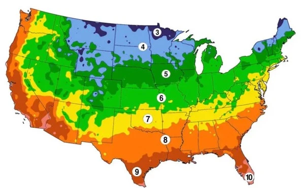 A map of Zone 6 regions with a frosty garden in the foreground, illustrating temperate climate gardening.